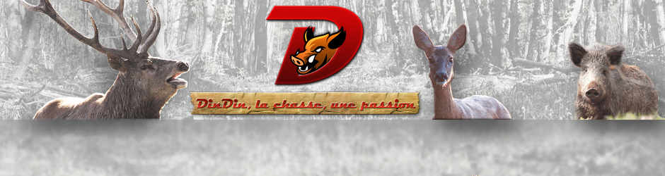 Dindin Chasse