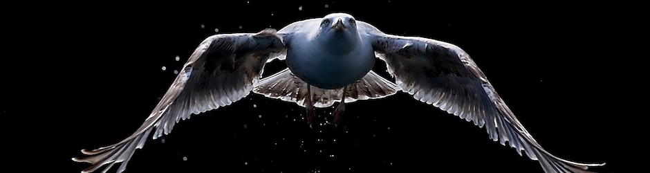 Toumba Online / A.F.Snapshots