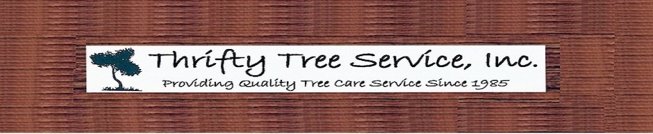 Thrifty Tree Services Inc