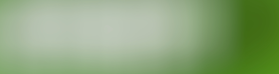 Sunni Media Production