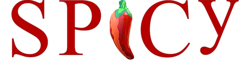 Spicy Media
