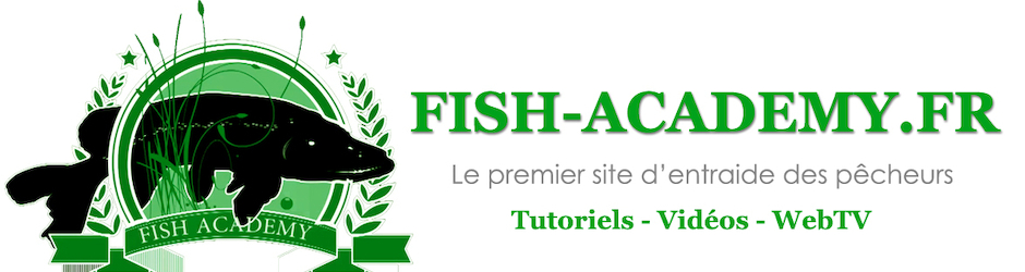 Fish Academy