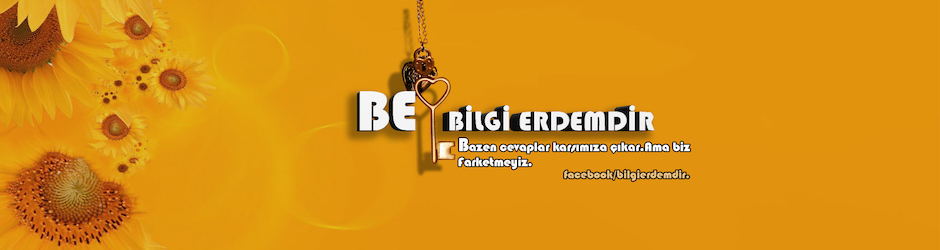 bilgi erdemdir