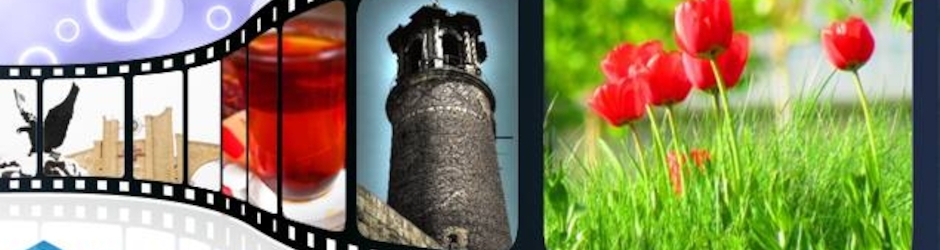 Mehmet Akif Yıldırım