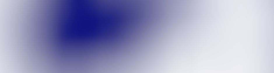 Platinum Rapid Funding Group