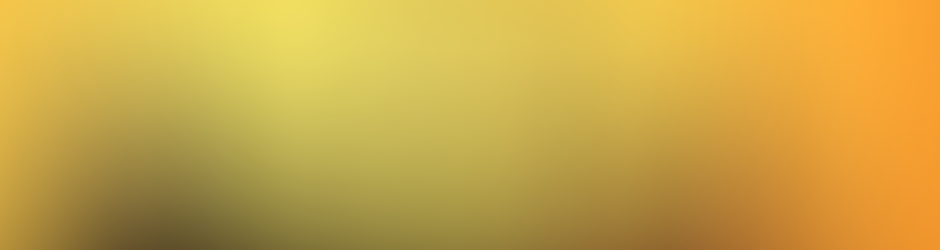 cie Les Montreurs d'Ombres