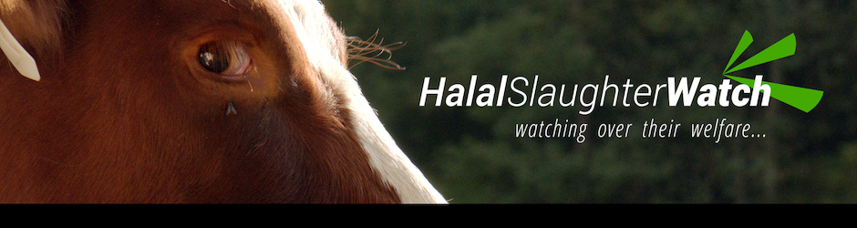 Halal Slaughter Watch
