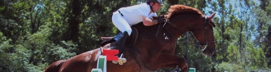 Ecurienicolasflaquin