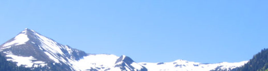 Elevage Amateur de la Tute de L'Ours