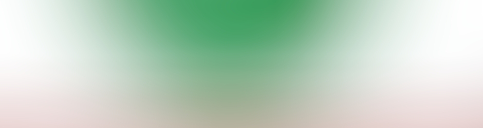 E-shopping for silk sarees