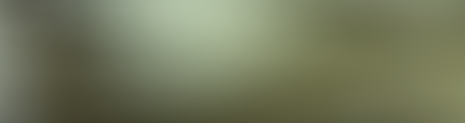 Dailymotion banner for @yunting