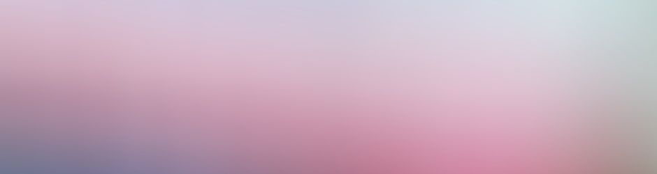 willards cleaning service