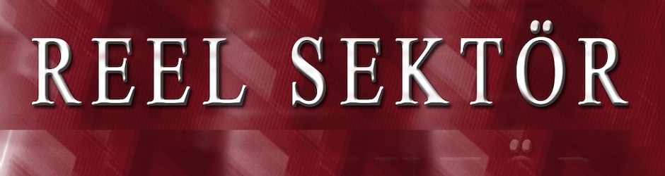 Reel Sektör