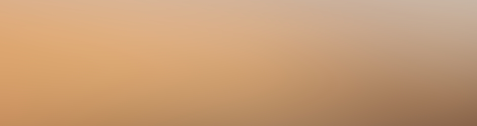 Festival Afrique de l'Ouest en Partage