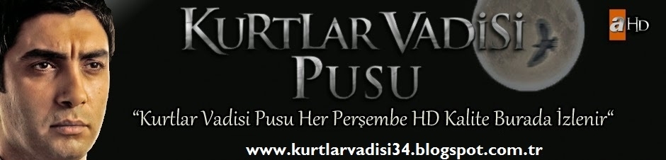 Kurtlar vadisi pusu