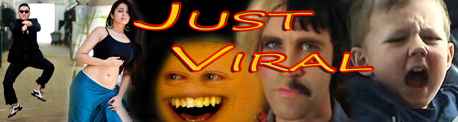Just Viral Videos
