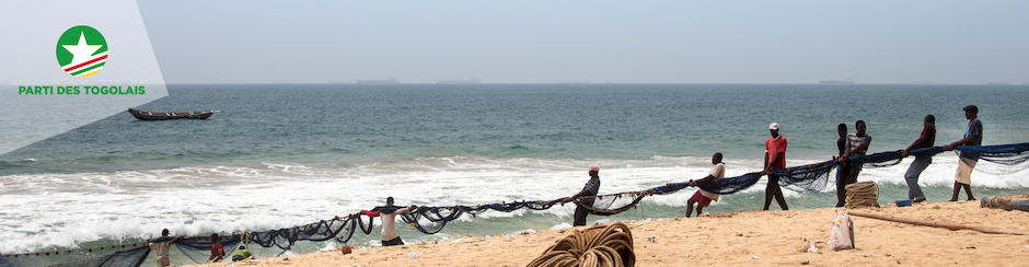 Parti des Togolais