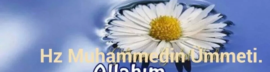 '' Mehmed - Tevbe Rabbim .