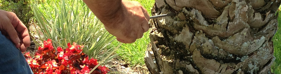 The Other Side Lawn & Ornamental Pest Control