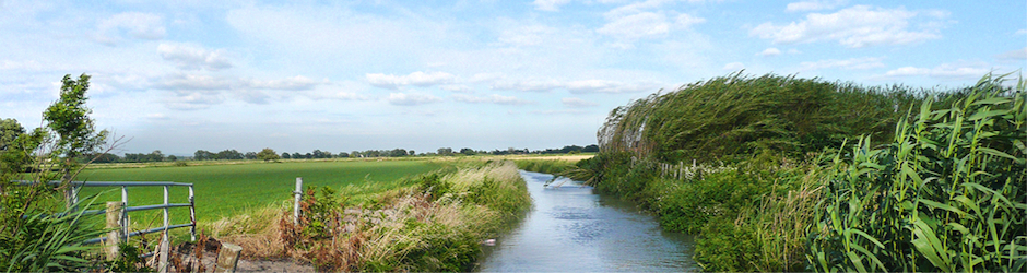 Action Immo Internationale