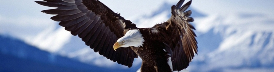 محمدابوبکرصدیق