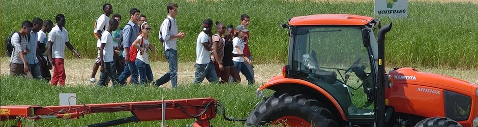 Jeremias Pintassilgo