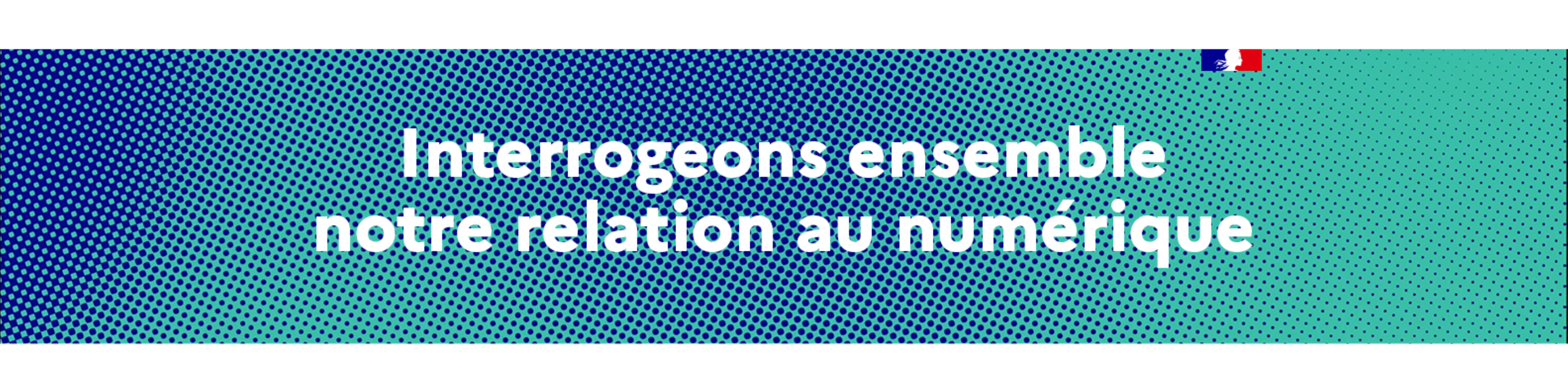Conseil national du numérique (CNNum)