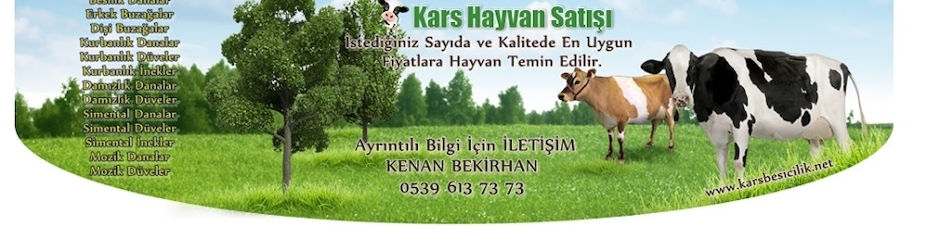 Kars Hayvan Pazarı