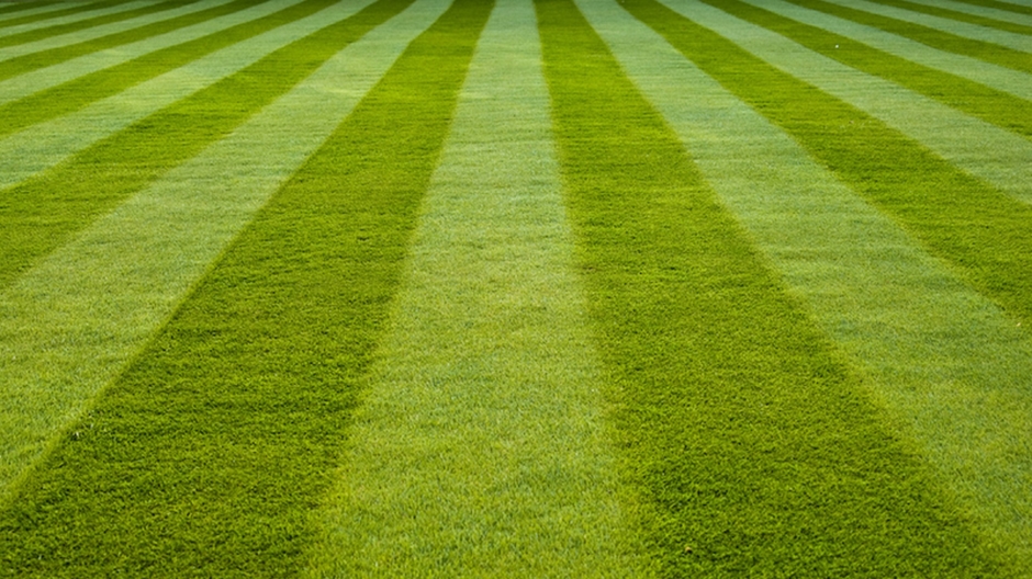 Chris Houstens World of Sports