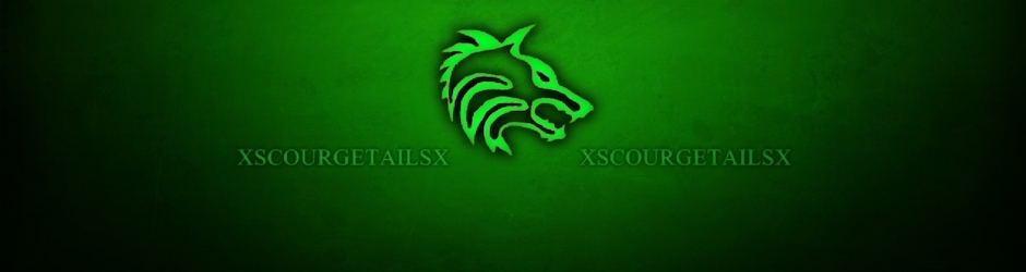 XScourgeTailsX