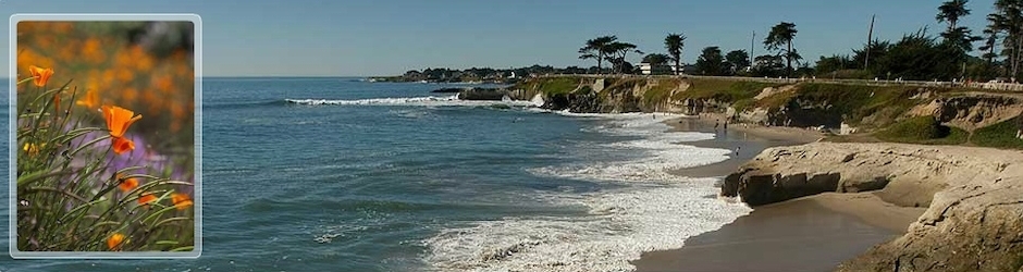 Michael K. Lewis, DDS & Ryan R. Lloyd, DMD