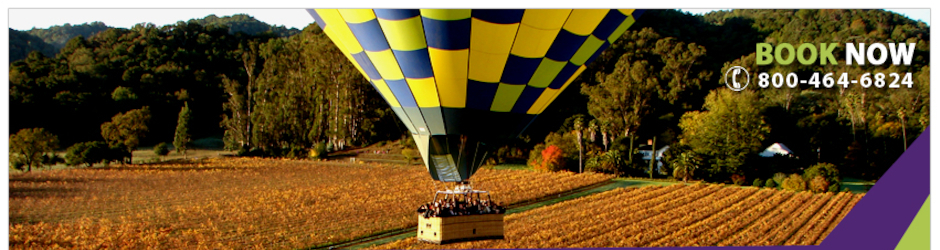Balloons Above the Valley