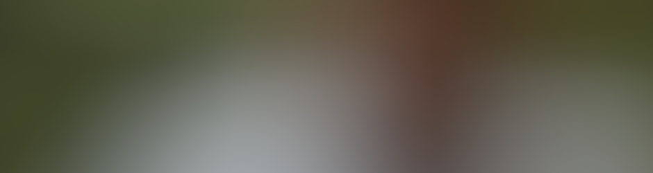 Thanh Nguyễn Quang