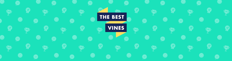 The Best Vines