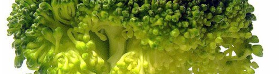 SALUD, CRUDIVORISMO EFICAZ