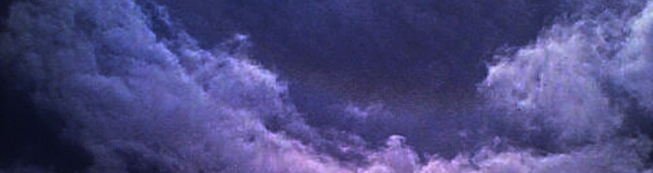 Magicdragon12345nancy