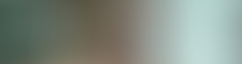 Muhammad Danish Khan