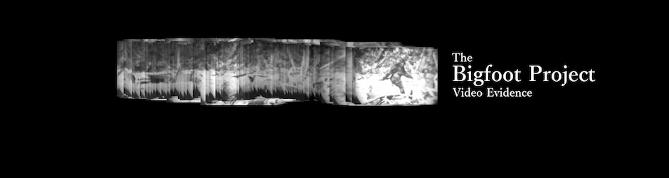 The Bigfoot Project