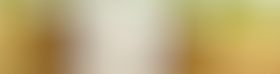 Forex Trading For Beginners