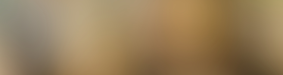 Emperor614 Nguyên Lê Thành