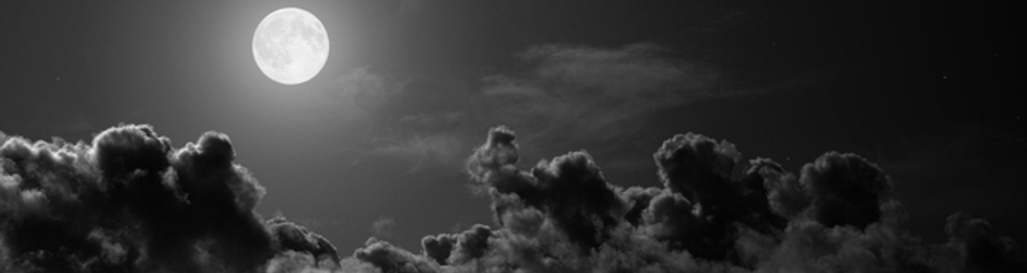 AWAXDEM LEGACY あわすくでむ