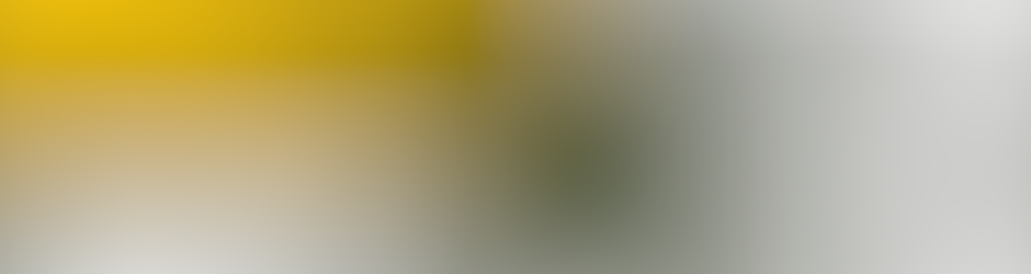 Essential Services Inc.