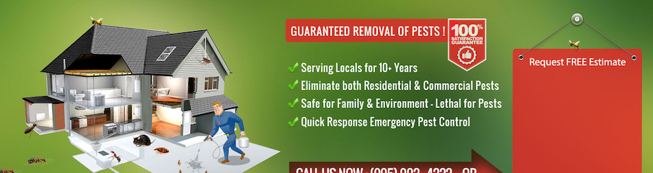 Pestex - Pest Control Hamilton