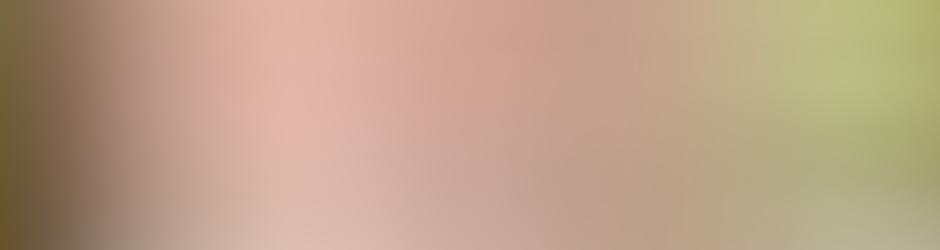 Zen Windows Twin Cities