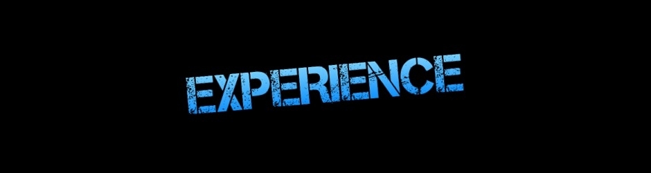 Experience