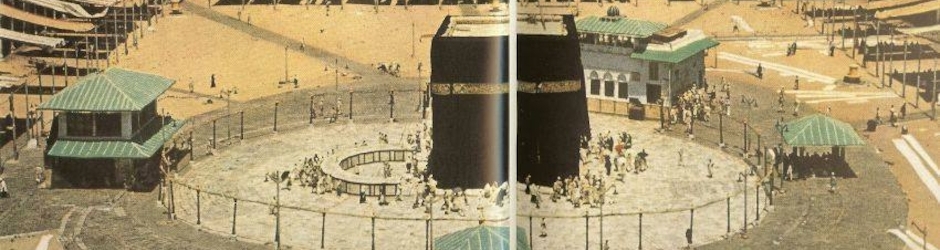 AEM-(Aadil Estate Management)