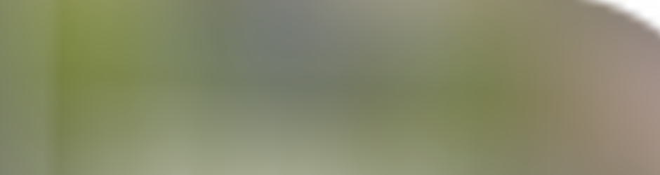 Family Self Defence Review 01