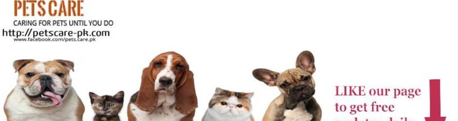 Pets Care