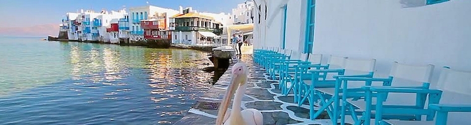 Ολα με αγάπη