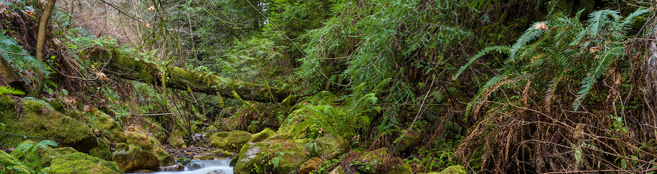 Malik Naeem Awan Munara